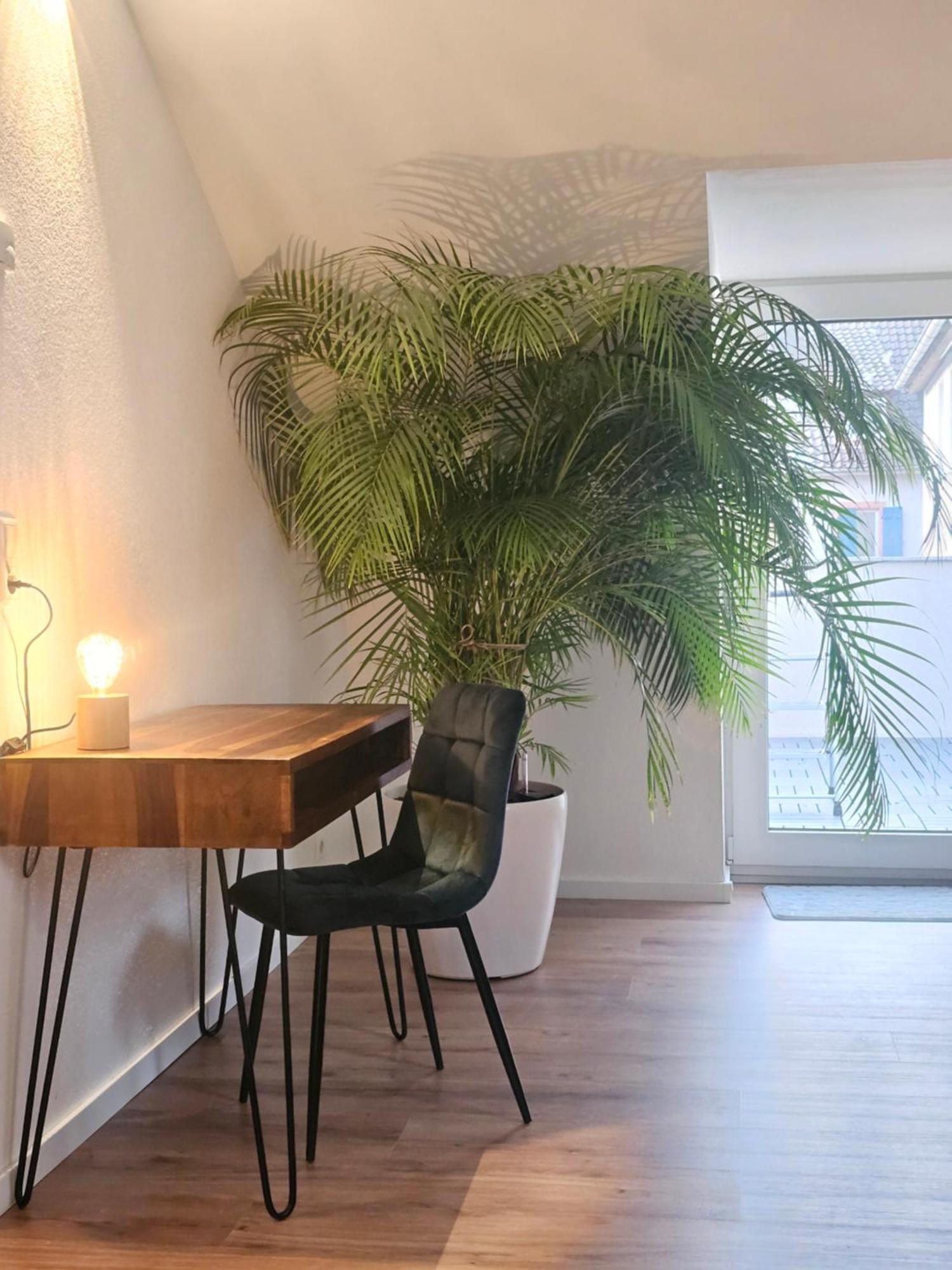 Design-Penthouse I 90Qm I Europapark 20 Min I Boxspring I Nespresso I Parking Διαμέρισμα Lahr  Εξωτερικό φωτογραφία